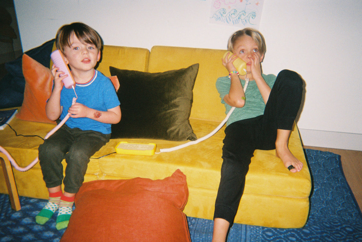 Later Alligator Lilac Picture 5